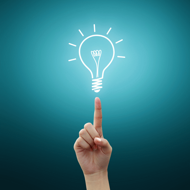 19 نکته کلیدی در نگهداری از بچه خرگوش تازه متولد شده در خانه