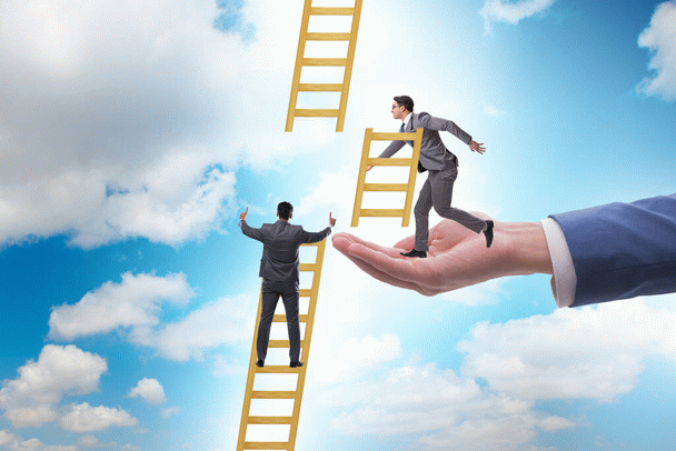 افتادن دندان سگ بالغ: هر آنچه باید بدانید