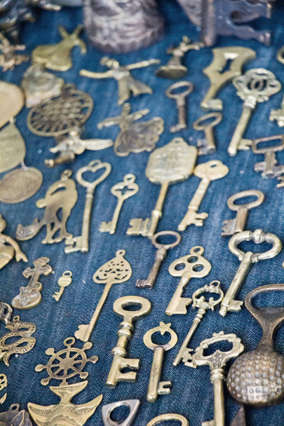 17 نکته مشکلات و بیماری کلیوی گربه ها؛ علائم و راه‌های درمان